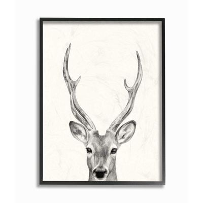 Stupell Industries Deer Portrait Grey Drawing Design