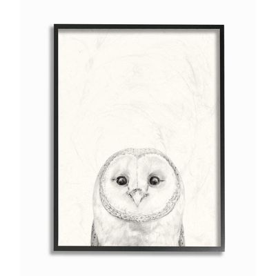 Stupell Industries Owl Portrait Grey Drawing Design, Designed by Victoria Borges Wall Art, 24 x 1.5 x 30, Black Framed