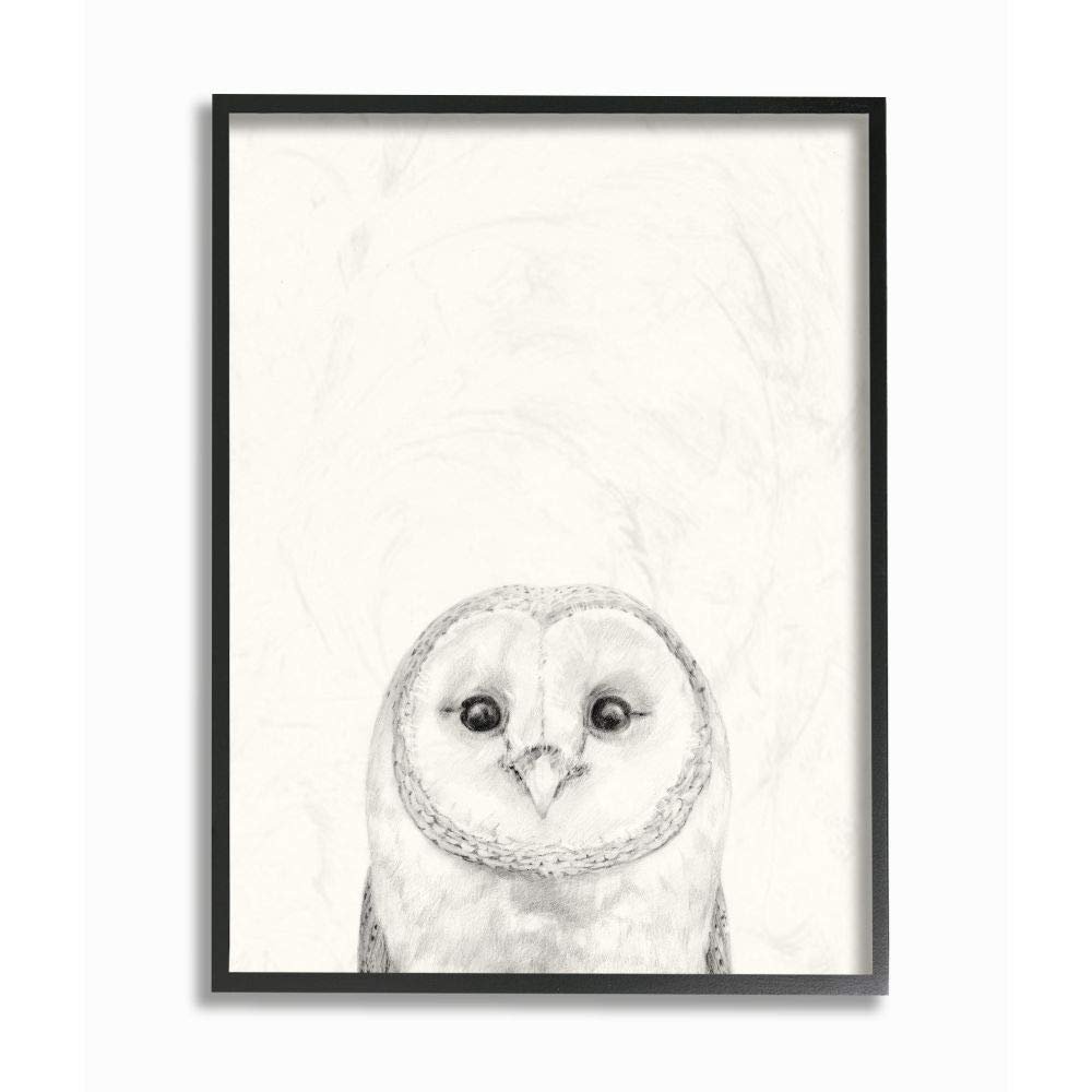 Stupell Industries Owl Portrait Grey Drawing Design, Designed by Victoria Borges Wall Art, 24 x 1.5 x 30, Black Framed