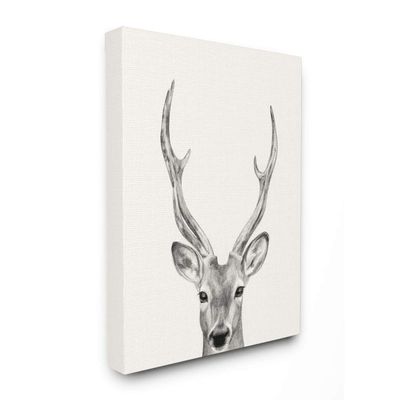 Stupell Industries Deer Portrait Grey Drawing Design