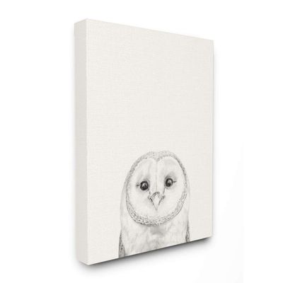 Stupell Industries Owl Portrait Grey Drawing Design, Designed by Victoria Borges Wall Art, 36 x 1.5 x 48, Canvas