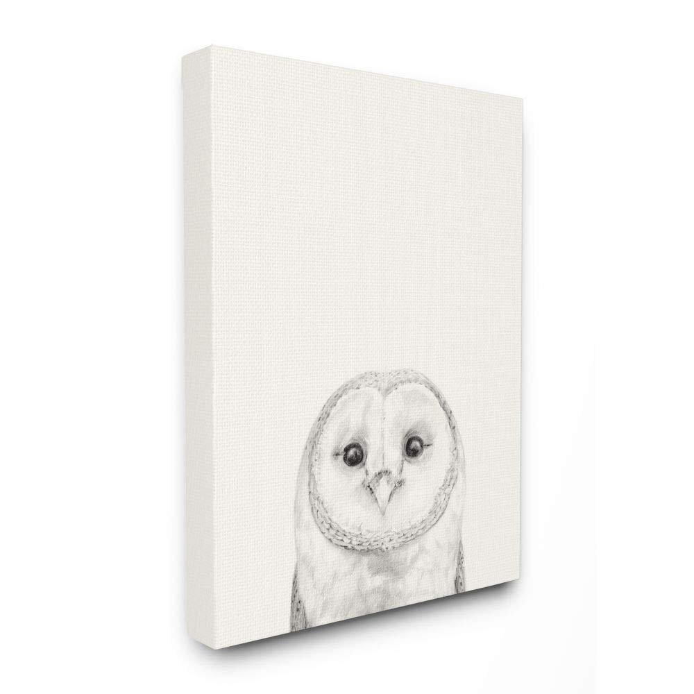 Stupell Industries Owl Portrait Grey Drawing Design, Designed by Victoria Borges Wall Art, 36 x 1.5 x 48, Canvas