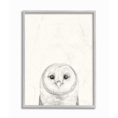Stupell Industries Owl Portrait Drawing Design, Designed by Victoria Borges Wall Art, 11 x 1.5 x 14, Grey Framed