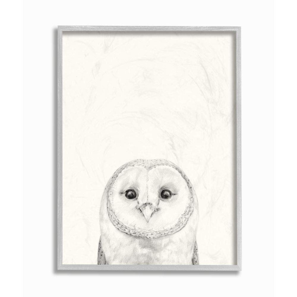 Stupell Industries Owl Portrait Drawing Design, Designed by Victoria Borges Wall Art, 11 x 1.5 x 14, Grey Framed