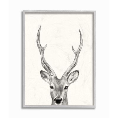 Stupell Industries Deer Portrait Grey Drawing Design