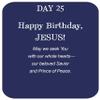 DaySpring - The Shepherd on the Search - Hanging Christmas Advent Calendar (J2083) view 4