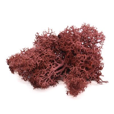 jweemax Artificial Plant Moss, Natural Artificial Plant Moss for Home Ornament Aquarium Decoration Resin Fake Plants Greenery Wall Lawns