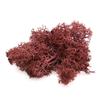 jweemax Artificial Plant Moss, Natural Artificial Plant Moss for Home Ornament Aquarium Decoration Resin Fake Plants Greenery Wall Lawns view 1