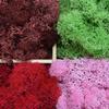 jweemax Artificial Plant Moss, Natural Artificial Plant Moss for Home Ornament Aquarium Decoration Resin Fake Plants Greenery Wall Lawns view 2
