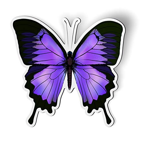 GT Graphics Express Elegant Butterfly Purple 5.5" Decorative Magnet (1 Count, Vinyl, Waterproof, UV Resistant)