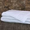 Plankroad Home Dcor Morris Luxe Down Twin Blanket - Duck Down Fill Lightweight Bedding Basic Cotton Bedspread view 3