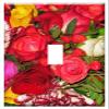 Switch Plate Single Toggle - Bouquet Of Flowers Florist Bouquet Of Roses Bouquet 4 view 1