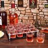 D&Z 2 oz Shot Glass with Holder, Tequila Shot Glass Set, Easy to Carry 12 Heavy Base Glasses without Spilling, Clear Modern Acrylic Server Tray for Wedding,Anniversary,Graduation,Housewarming,Birthday view 3