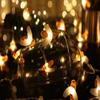 Merdeco Honeybee Fairy String Lights, Plug in String Lights 16ft 50 LED Warm White Lights for Party/Birthday/Wedding/Christmas Indoor Outdoor Decoration view 2