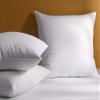 The Ritz-Carlton Euro Pillow - Premium Feather Fill - 26" x 26" view 2