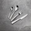 BERGNER Q3503 24-Piece Stainless Steel Royan Collection Cutlery view 2