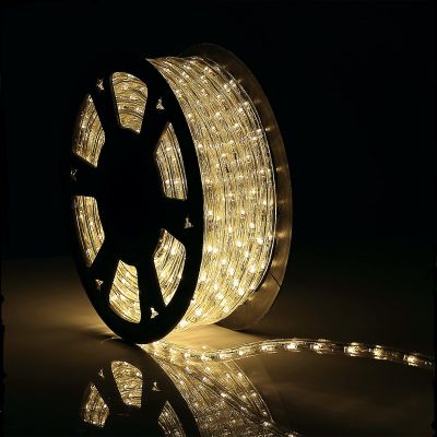 Buyagn 100Ft Warm White LED Rope Lights, 110v Waterproof Indoor/Outdoor String Lights, Cuttable, 1080 LEDs Rope Lights for Outside, Garden, Patio, Deck, Halloween and Christmas Decorations