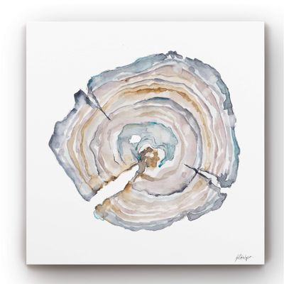 Renditions Gallery Nature Canvas Paintings for Home Decor Watercolor Tree Ring Abstract Art Prints for Bedroom Dining Office Kitchen Walls - 40"x40" LT34