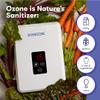 Perfecore Water Ozonator - Odor Eliminator and Fresh Water Machine w/Diffuser Stones and Timer - For Home, Kitchen, Fruits & Vegetables - 600 mg/Hour view 3