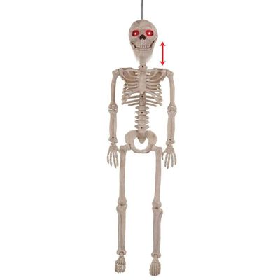 Seasons Prelit Animated Human Skeleton Hanging Dcor - Case of: 1;