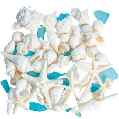 White Mixed Beach Seashells 2lb with Starfish & Sea Glass  Real Sea Shells for Crafts, Ocean Dcor, Seashell Decorations, Coastal Home Accents, Large Shells for DIY, Beach Weddings & Parties