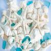White Mixed Beach Seashells 2lb with Starfish & Sea Glass  Real Sea Shells for Crafts, Ocean Dcor, Seashell Decorations, Coastal Home Accents, Large Shells for DIY, Beach Weddings & Parties view 3