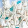 White Mixed Beach Seashells 2lb with Starfish & Sea Glass  Real Sea Shells for Crafts, Ocean Dcor, Seashell Decorations, Coastal Home Accents, Large Shells for DIY, Beach Weddings & Parties view 4
