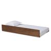 Baxton Studio Trundles, Twin, Walnut view 1
