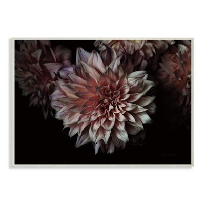 Stupell Industries Aged Flower Curved Petals Pink Black Photograph