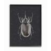 Stupell Industries Horned Beetle Reflective Minimal Bug Insect, Designed by Ziwei Li Wall Art, 11 x 14, Black Framed view 1