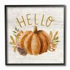 Stupell Industries Hello Pumpkin Autumn Pinecone Orange Brown Fall Seasonal, Designed by Gigi Louise Wall Art, 12 x 12, Black Framed view 1