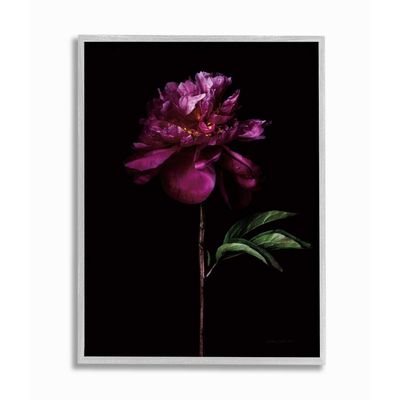 Stupell Industries Flower with Long Stem Black Purple Nature Photograph