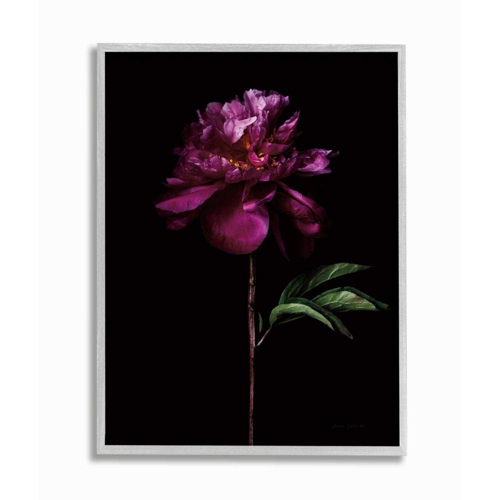 Stupell Industries Flower with Long Stem Black Purple Nature Photograph