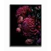 Stupell Industries Detailed Bouquet Tropical Flowers Red Pink Photograph view 1