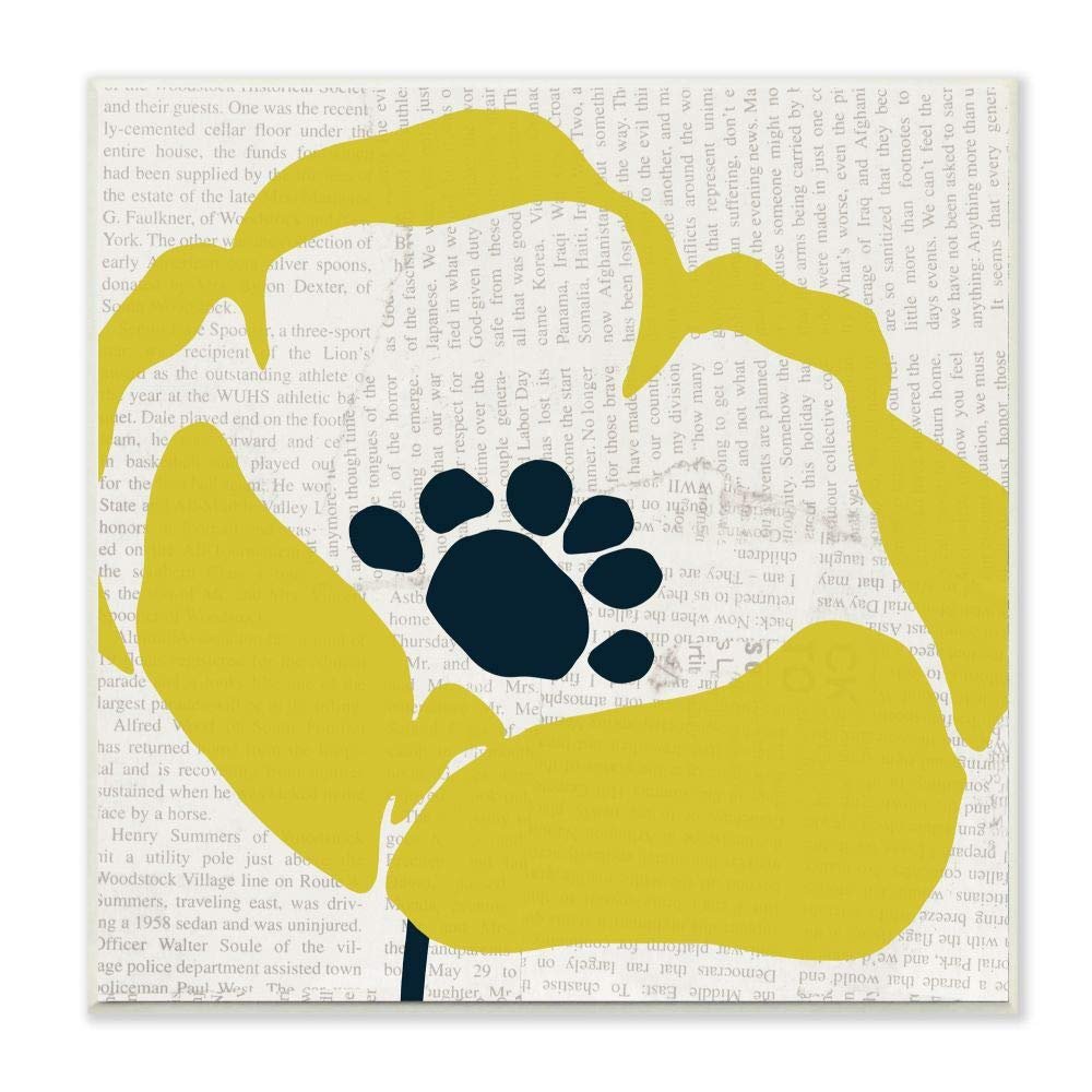 Stupell Industries Yellow Flower Pop Floral Collage Newsprint Design, Designed by Wild Apple Portfolio Art, 12 x 12, Wall Plaque