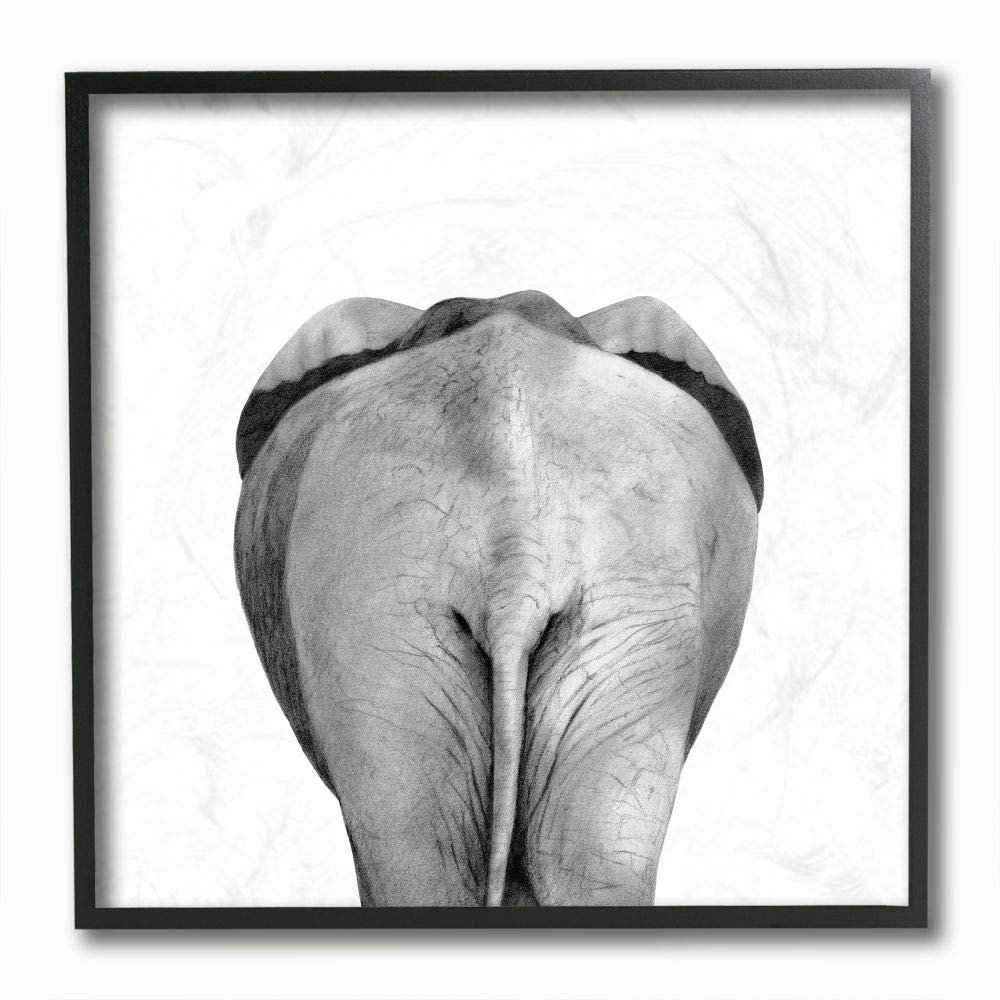 Stupell Industries Grey Elephant Butt Minimal Black White Drawing