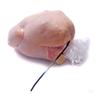 Stromberg's Large Turkey Heat Shrink Clear Bags, Freezer-Safe, BPA & BPS Free Bags with 65 Micron Thickness, Ideal for 25-30 lb Poultry, 18"x32", 25 Pack view 1