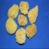 Salty Pelican 20 Natural Sea Sponges, 2 inch to 4 inch, Craft Grade Quality, pre-Cleaned - SP-03 view 1