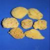 Salty Pelican 20 Natural Sea Sponges, 2 inch to 4 inch, Craft Grade Quality, pre-Cleaned - SP-03 view 3