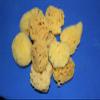 Salty Pelican 20 Natural Sea Sponges, 2 inch to 4 inch, Craft Grade Quality, pre-Cleaned - SP-03 view 4
