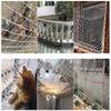 JHKJ Pet Climb Nets, Child Safe Net Rope Ladder Safety Net Cargo Truck Trailer Safe Net Balcony Safety Net Indoor Ceiling Decoration Net,1x 2m3.3 * 6.5ft view 3