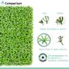 SunnyRoyal 20 Pcs 20"x20" Artificial Boxwood Panels Grass Wall Greenery Backdrop Decor Privacy Hedge Fence Screen for Outdoor Indoor Backyard Garden Decoration, Sungrass view 4