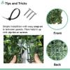 SunnyRoyal 25 Pcs 20"x20" Artificial Boxwood Panels Grass Wall Greenery Backdrop Decor Privacy Hedge Fence Screen for Outdoor Indoor Backyard Garden Decoration, Rose view 3