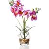 Jusdreen Artificial Purple Orchid in Glass Vase, Realistic Phalaenopsis Arrangement with Potting for Home Office Table Decor, 14.5 Inch Flower Centerpiece view 1