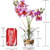 Jusdreen Artificial Purple Orchid in Glass Vase, Realistic Phalaenopsis Arrangement with Potting for Home Office Table Decor, 14.5 Inch Flower Centerpiece view 2