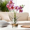 Jusdreen Artificial Purple Orchid in Glass Vase, Realistic Phalaenopsis Arrangement with Potting for Home Office Table Decor, 14.5 Inch Flower Centerpiece view 3