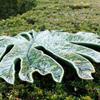 Bordallo Pinheiro Chestnut Tree Leaf Decor view 2