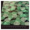 BDF 4GLV Decorative Window Film Green Leaves (48in X 22ft) view 3