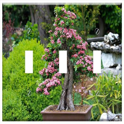 Switch Plate Triple Toggle - Bonsai D szgalagonya V ragz Bonsai Pink Flowers