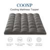 COONP Queen Mattress Topper, Extra Thick Pillowtop, Cooling Plush Mattress Pad Cover Bed Topper Protector with 8-21 Inch Deep Pocket (Grey, Queen) view 2